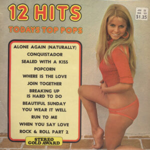 Unknown Artist – 12 Hits Todays Top Pops